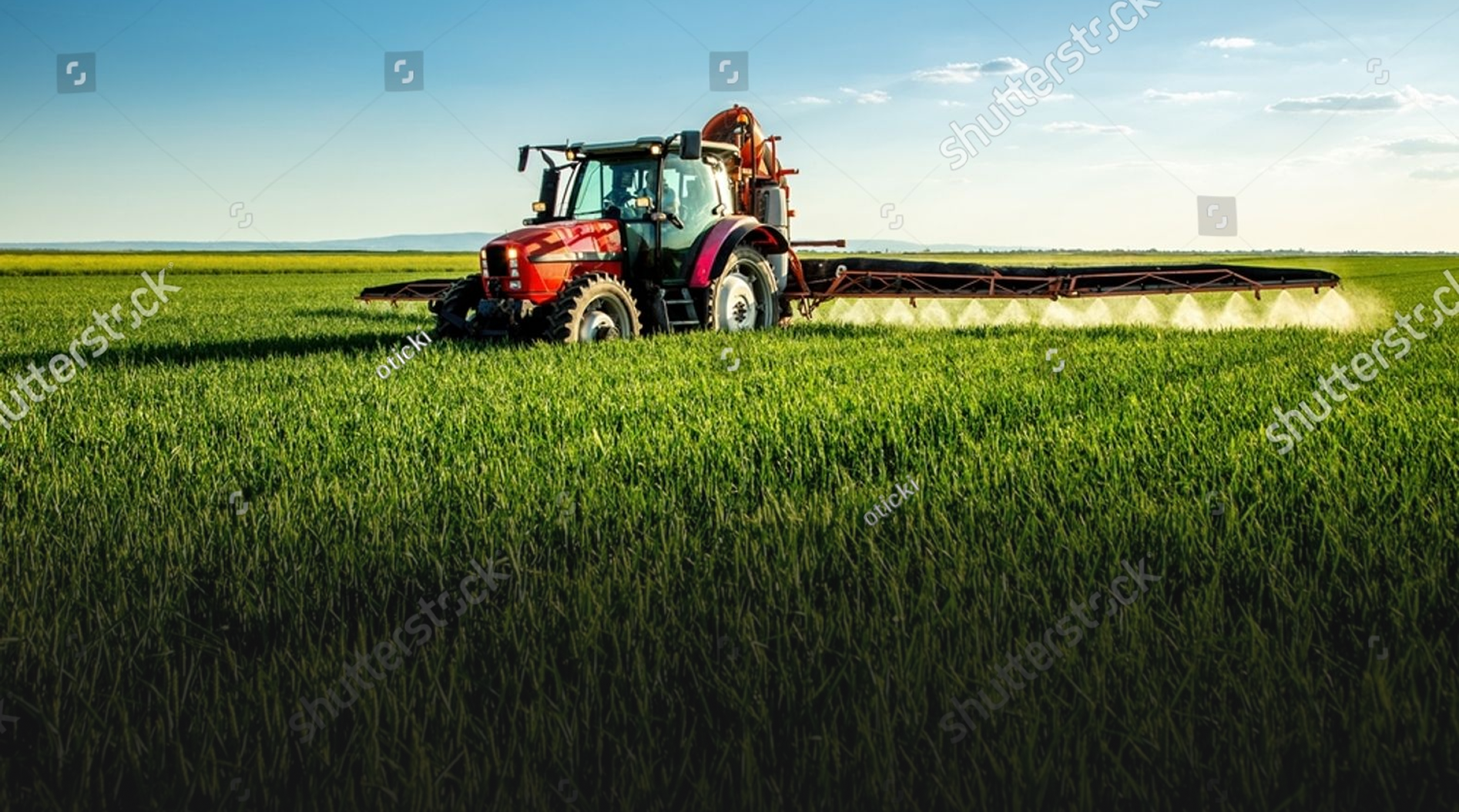 vagabond99999_extend_the_image_--ar_54_--profile_rystahj_--v_8._1d11fb7e-b94c-4cbe-b79b-d6ce4e95d289 1 (4)